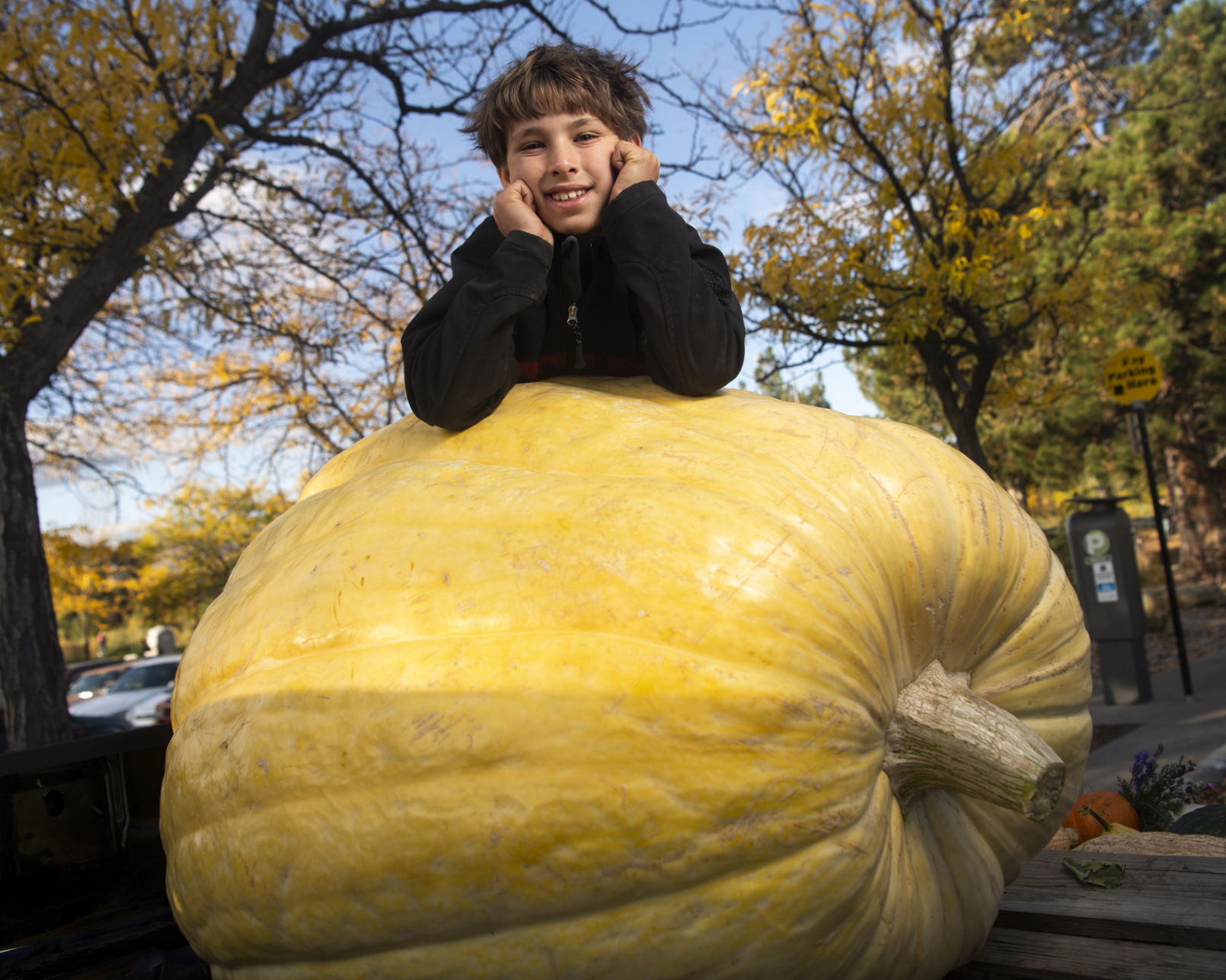 Photo: 6 months, 600-pound pumpkin 02